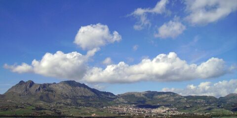Quando l’erba del vicino è davvero più verde
